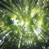 How Virtual Gaming Platforms Reduce the Carbon Footprint of Resorts
